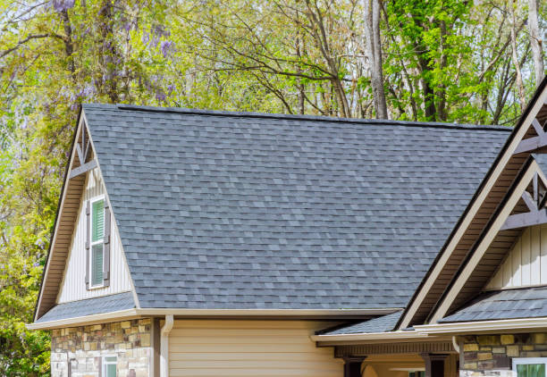 Best Roof Moss and Algae Removal  in Crosbyton, TX